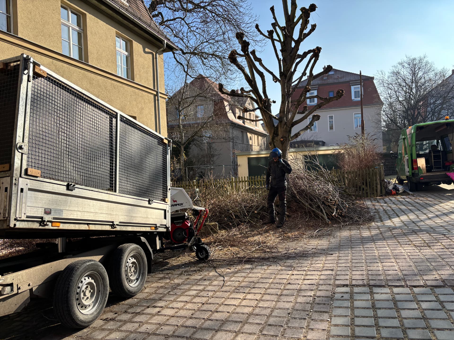 Frisch zurückgeschnittener Baum in einem Hof, davor Baumpfleger mit Helm, Häcksler und Anhänger mit Schnittgut